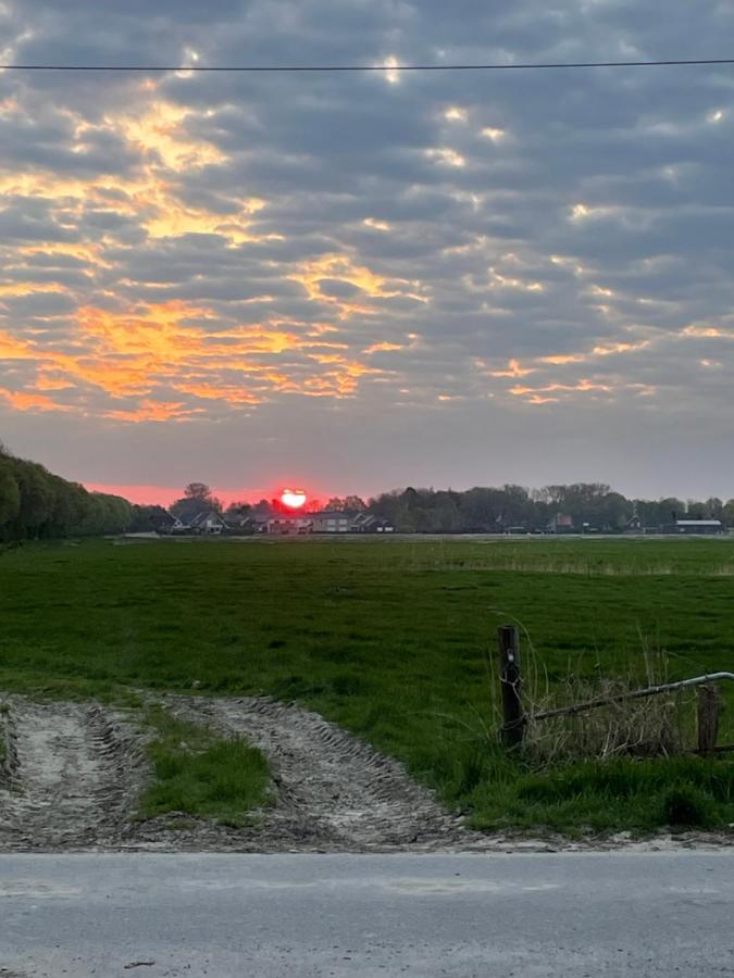 Schlafen Neben Den Kleinen Kaelbchen Im Kaelberiglu Bingum Bagian luar foto